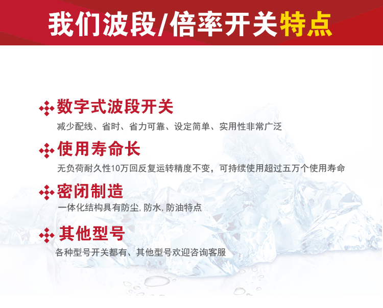 远瞻开关(图4)